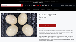 Amaroo Hills - Real Ostrich Eggshells