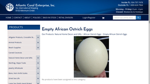 Atlantic Coral Enterprise - Empty African Ostrich Eggs