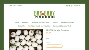 Bay Baby Produce - 10 CT White Mini Pumpkins