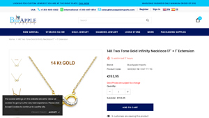 Blue Apple Imports - 14k Two-Tone Gold Infinity Necklace