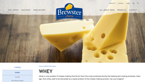 Brewster Cheese - Whey Protein Solutions