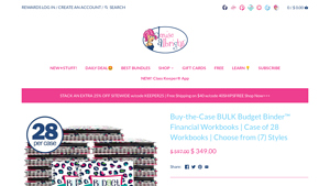 Denise Albright - Budget Binder™ Financial Workbook