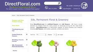 Direct Floral - Craspedia Bundles