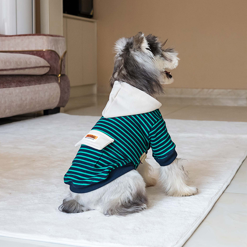 A stock image illustrating dog apparel wholesale concepts