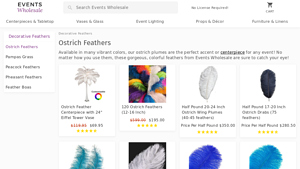 EventsWholesale - Ostrich Feathers in Bulk