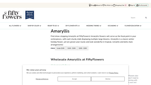 FiftyFlowers - Wholesale Amaryllis