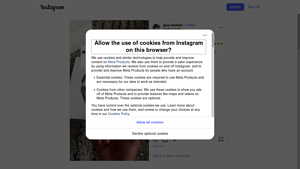 Instagram Scraper - Customizable Page Volume Service