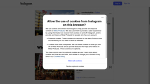 Instagram - Scraping Services