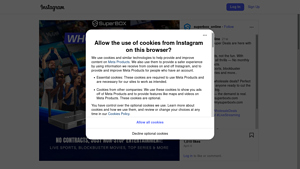 InstaScraper - Monthly Page Scraping Service