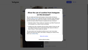 Scraping Dog - Instagram Scraping Services