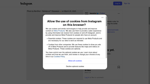 Instagram Scraper - Customizable Monthly Options