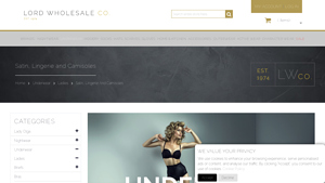 Lord Wholesale - Satin Lingerie & Camisoles