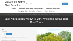 Mid Atlantic Natives - Black Willow