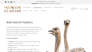 Moonlight Feather - Bulk Ostrich Feathers