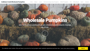 Callahan Creek Pumpkins - Wholesale Pumpkins & Gourds