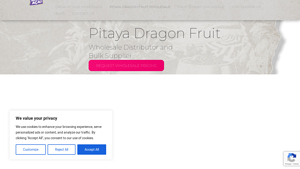 Organic Acai Wholesale - Premium Pitaya Dragon Fruit
