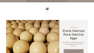 Ostrich Eggs - Premium Craft Shells