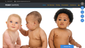 Penny Diapers - Wholesale Baby Diapers