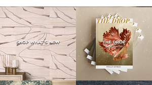 Phillip Jeffries - Wallcovering Solutions