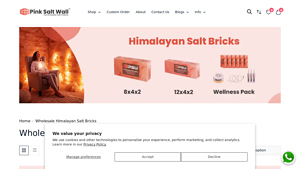 Pink Salt Wall - Himalayan Salt Bricks