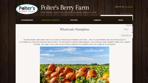 Polter's Berry Farm - Wholesale Pumpkins