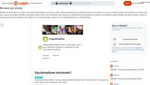 Squishmallows - Wholesale Supplier Options