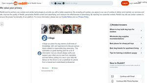 Bulk Dog Toys - Affordable Options for Shelters