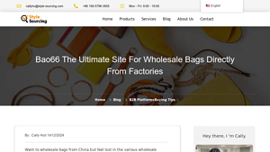 Bao66 - Bag Sourcing Solutions