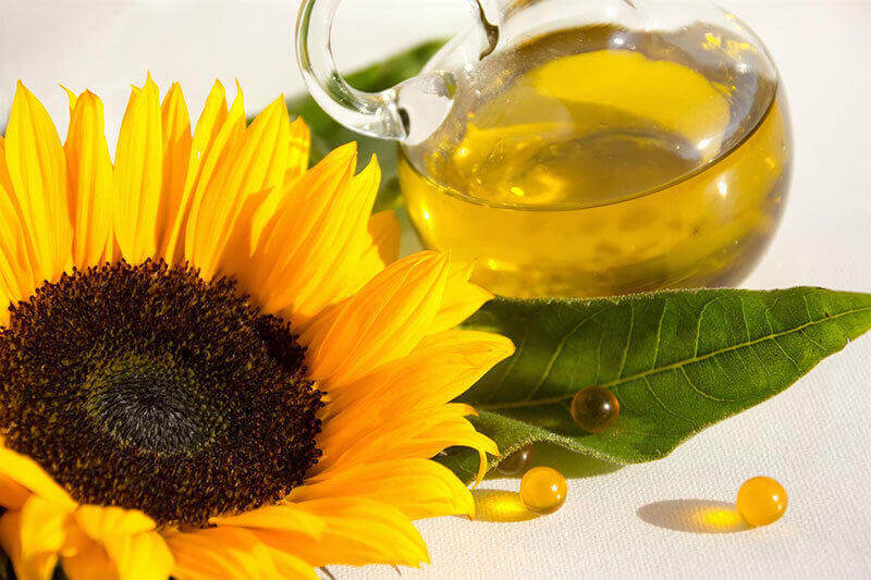 A stock image illustrating sunflower oil distributors concepts