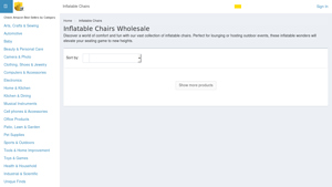 Supply Leader - Inflatable Chairs