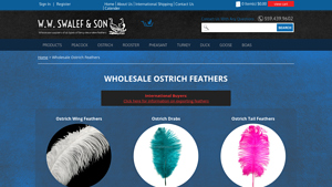 Swalef and Son - Wholesale Ostrich Feathers
