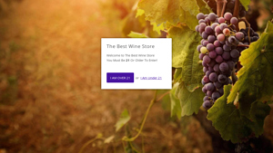 The Best Wine Store - Mini Champagne Selections