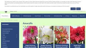 Van Engelen - Amaryllis Varieties & Gift Boxes