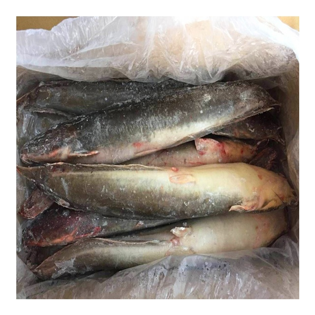 A stock image illustrating wholesale catfish suppliers concepts