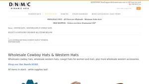 Dynamic Asia - Wholesale Womens Western Hats