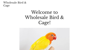 Wholesale Bird & Cage - Companion Birds & Cages
