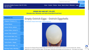 Worldwide Wildlife Products - Empty African Ostrich Eggs