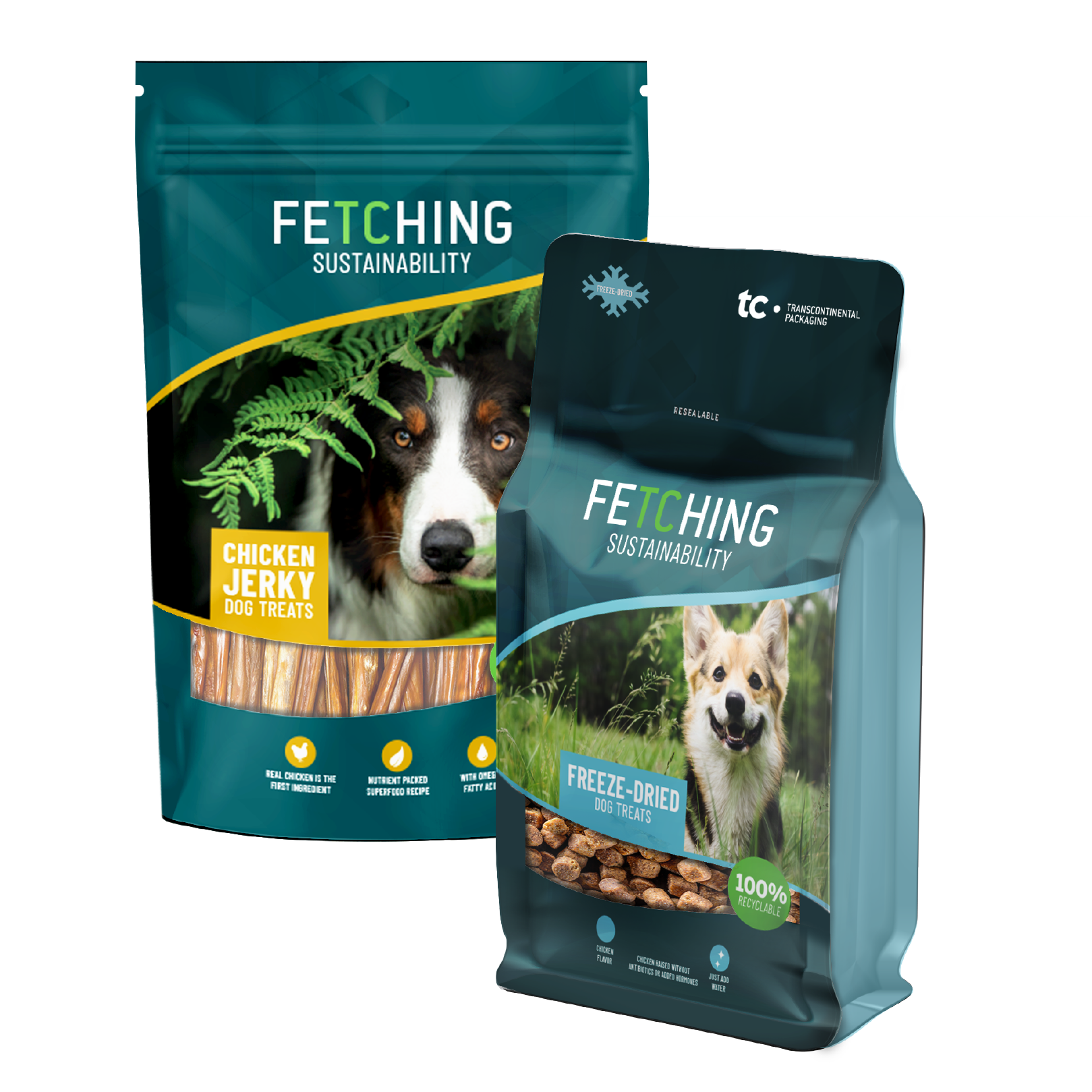 Illustrative example of pet food packaging from Google Search